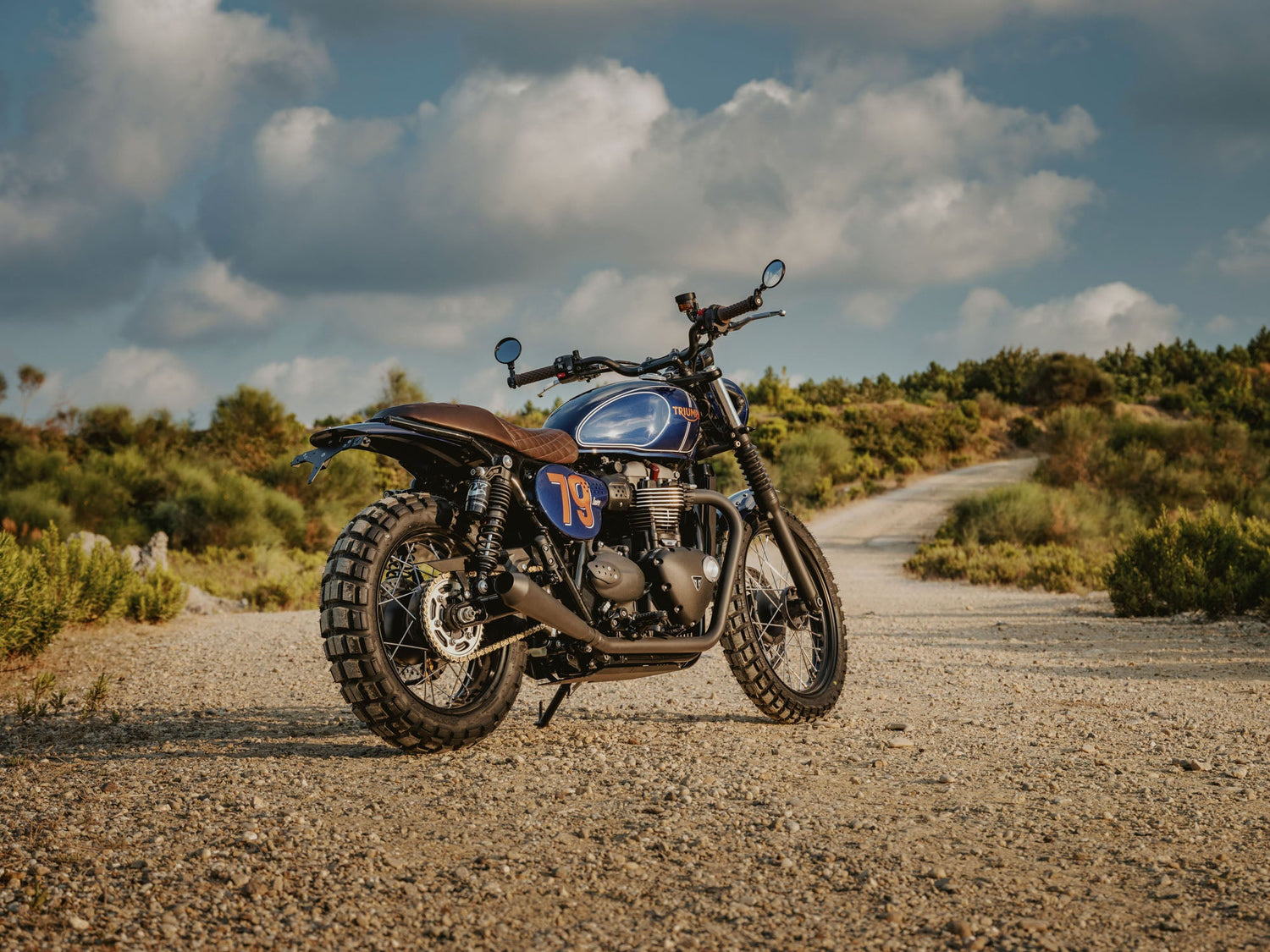 Triumph Street Scrambler Rear Mudguard fender Tail Tidy