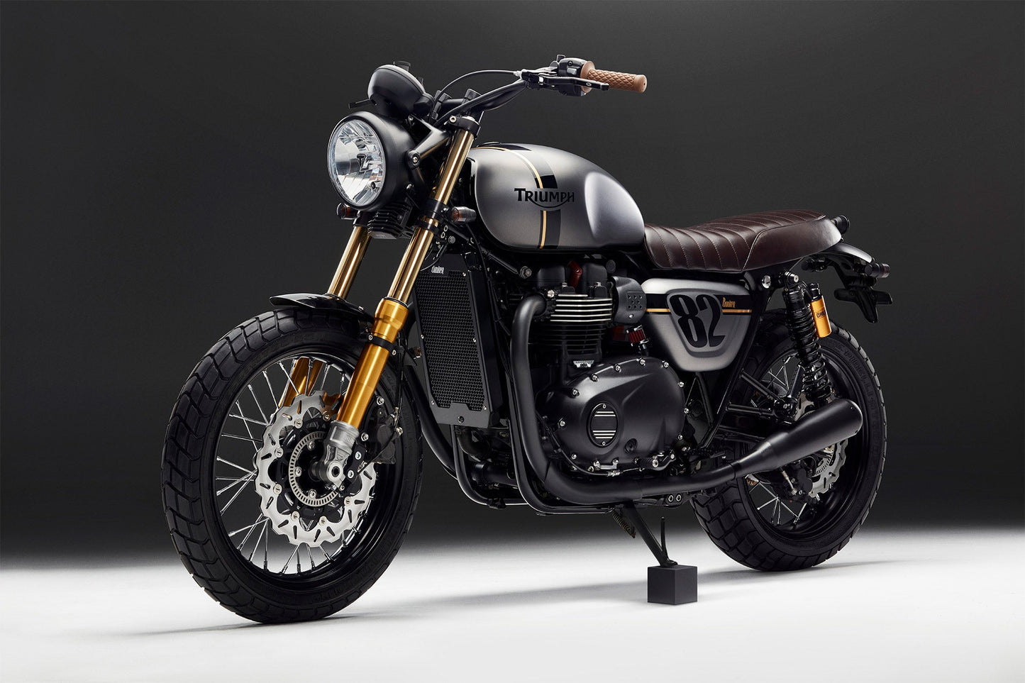 Triumph Radiator Guard Street Twin